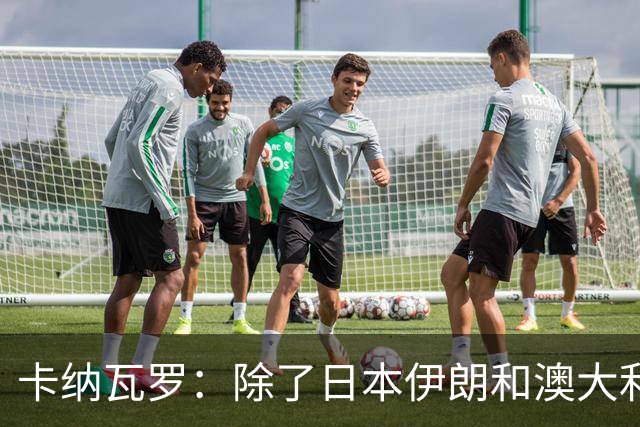 卡纳瓦罗：除了日本伊朗和澳大利亚 所有亚洲球队都需要进步