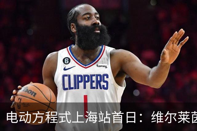 电动方程式上海站首日：维尔莱茵雨中收获赛季第二冠